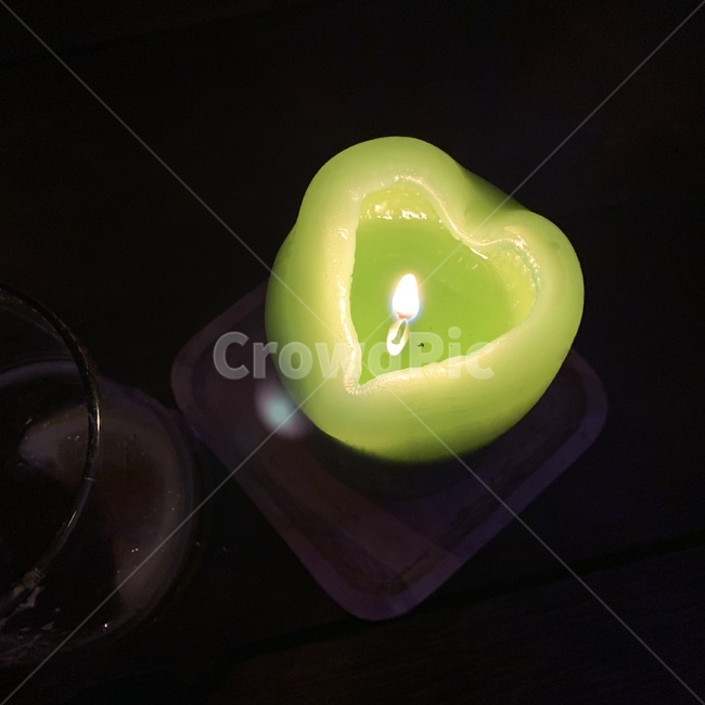 하트,초,연두색초,불빛,하트모양,사물,물건,오브젝트,thing,object,matter