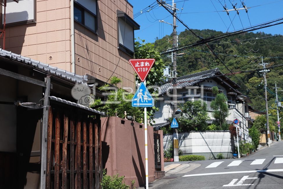 일본,교토,표지판,횡단보도,주택가,japan,kyoto,road,도로