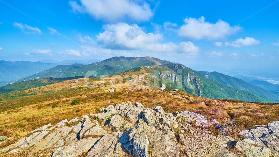 하늘억새길,억새,자연,nature,outdoors,등산,자연,풍경,nature,landscape