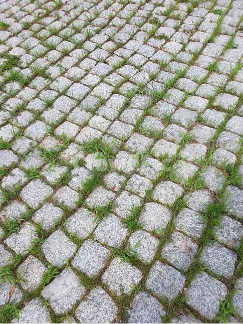 돌,풀,잡초,규칙성,벽돌,보도블럭,path,통로,walkway,sidewalk,포장