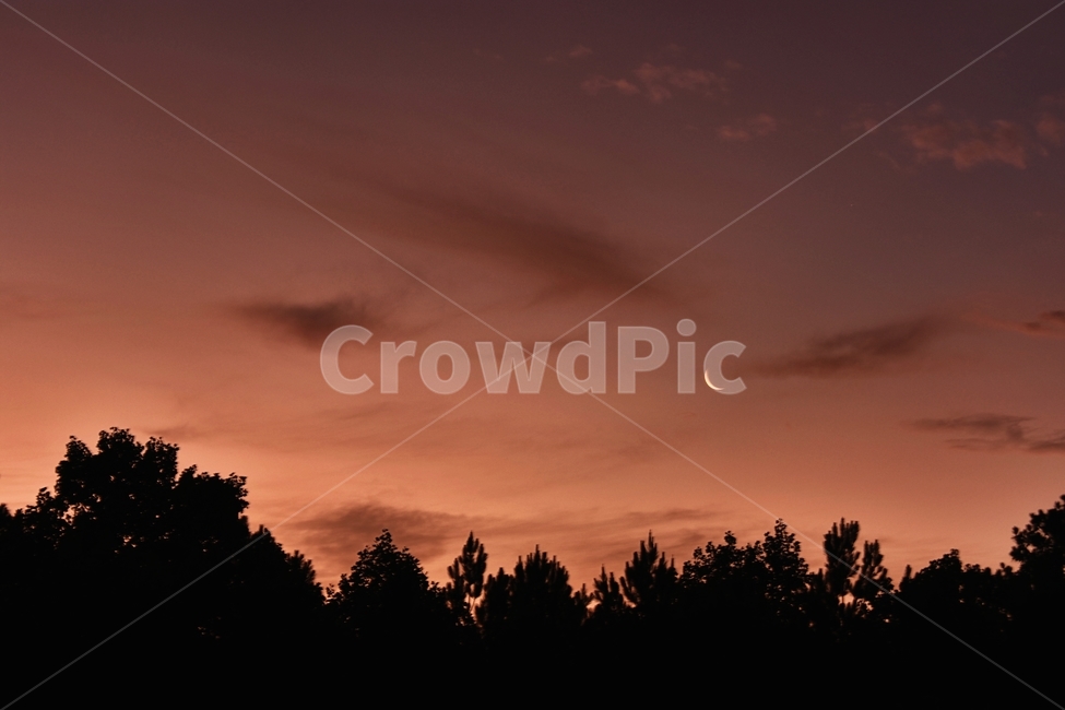 하늘,황혼,달,일몰,moon,배경,landscape,자연,nature,풍경,하늘색,sky,조지아,america,미국,sunrise,cloud,구름,나무,tree,twilight,야경,밤,풍경,nightscape,night,landscape,plant,식물,fir,전나무