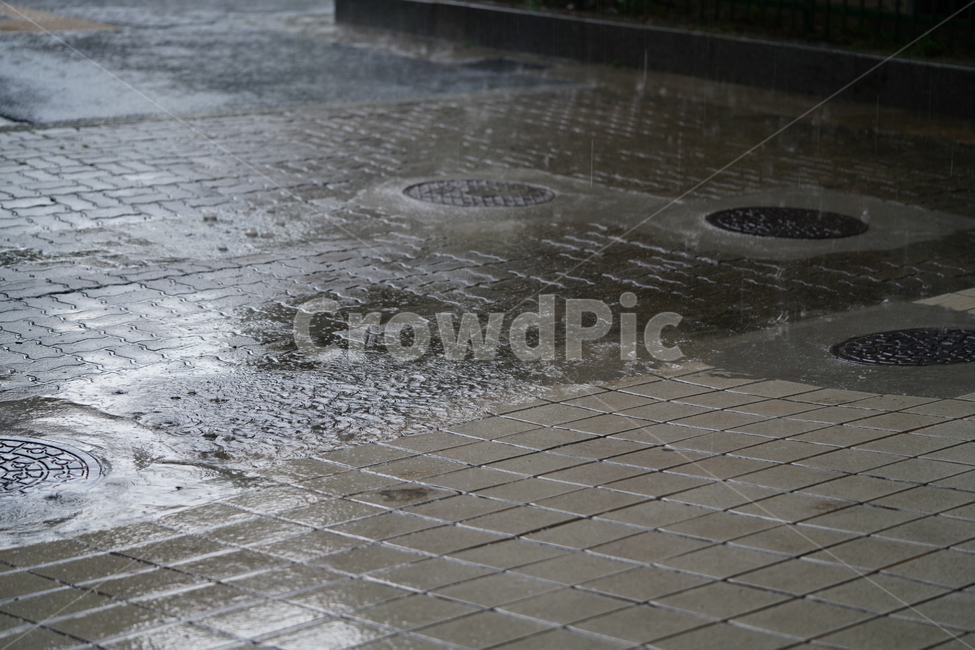 비,빗물,rain,날씨,물,water,보도블럭,비,비오는날,rain,rainy