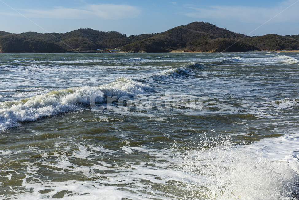바다,파도,수평선,하늘,갈매기,blue,sea,sky,water,coastline,waves