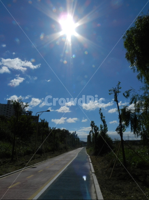 road,도로,flare,플레어,light,빛,자연,풍경,nature,landscape,asphalt,아스팔트