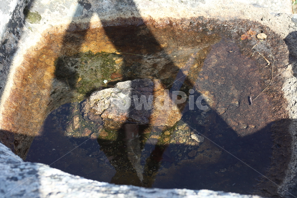 금산,바위,rock,한려해상국립공원,빗물,남해금산