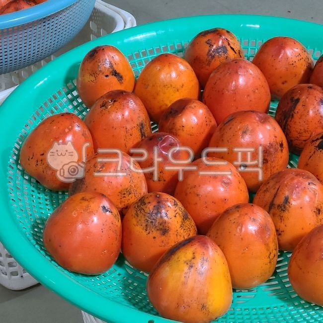 New Years holiday,Daebonggam,Making Hongsi,Hongsi,Hongsi storage