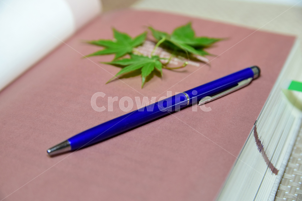 책,단풍잎,청단풍잎,잎,볼펜,독서,book,pen,leaf,식물,자연,plants,nature,학용품,문구류,사무용품,school supplies,stationery,office supplies