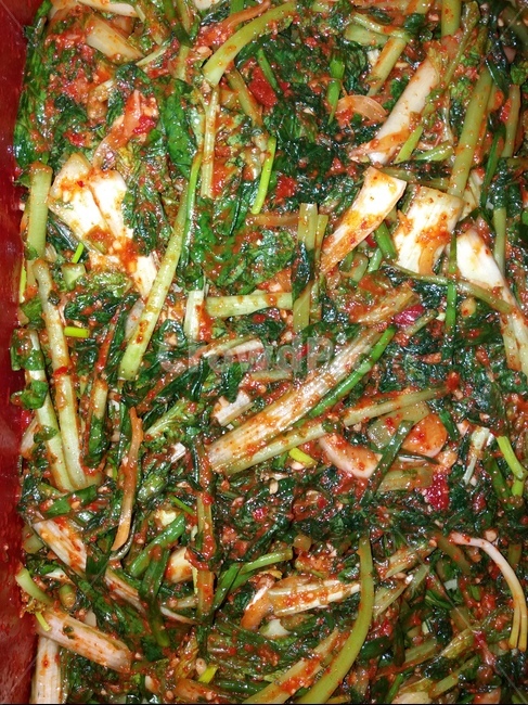 열무김치,열무,얼갈이,고추,한국음식,채소,식품,음식,식재료,요리,food,cook,meal,dishes,food reserves,한식,한국음식,한국요리,korean food,korean dishes,korean meal,korean cook