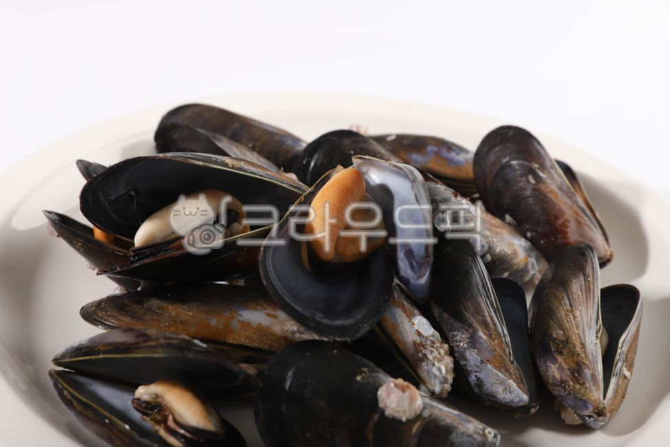 홍합,수산물,바다생물,먹거리,조개,음식,식재료,요리,food,cook,meal,dishes,food reserves,수산물,해산물,fishery products,seafood