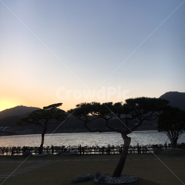 노을,호수,소나무,하늘,풍경,해질무렵,자연,풍경,nature,landscape,outdoors,옥외