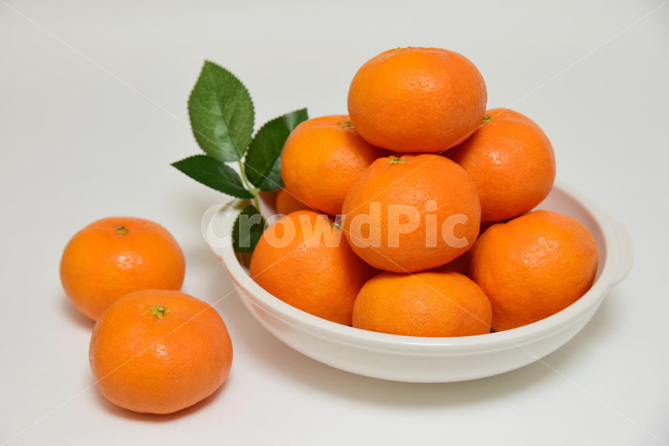레드향,향기좋은,과일,음식,열매,식재료,접시,디저트,감귤류,주황색,fruit,dessert,food,orange,tangerine,citrusfruit,dish,감귤류과일,과일,열매,fruit