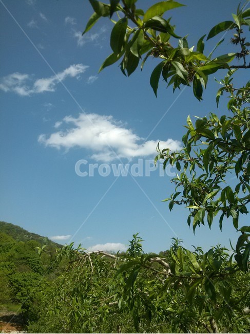 하늘,산,풍경,가을,구름,자연,풍경,nature,landscape,plant,식물
