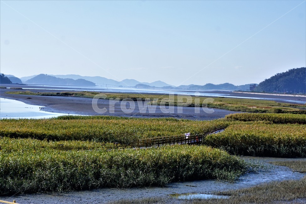 가을,갈대,갯벌,자연,식물,nature,계절,fall,autumn,season,flower,풍경,산,하늘,sky,가을,계절,fall,autumn,season,자연,풍경,nature,landscape,land,땅,outdoors,옥외,water,물