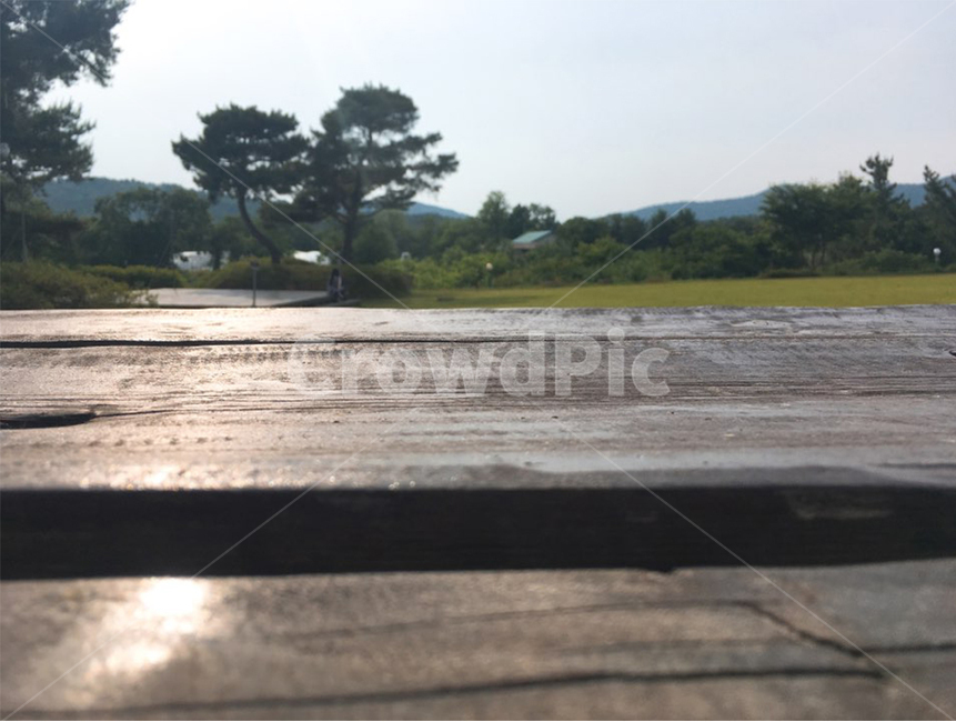 분위기,힐링,벤치,햇살,나무,하늘