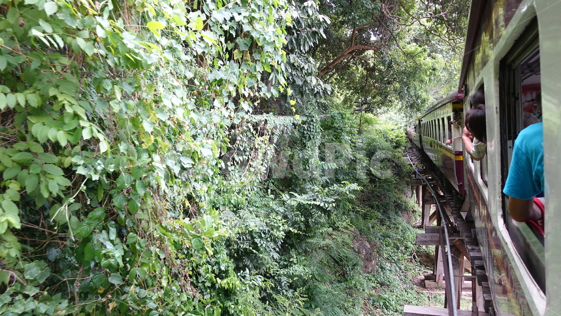 기차여행,railway,rail,기차,transportation