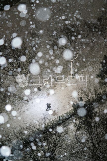 겨울,계절,설경,겨울풍경,추위,날씨,겨울분위기,자연,풍경,실외,눈보라,폭설,눈송이,눈망울,대설,함박눈,고드름,winter,snow,폭설주의보,재난,자연재해,가로등,불빛,blizzard,storm,outdoors