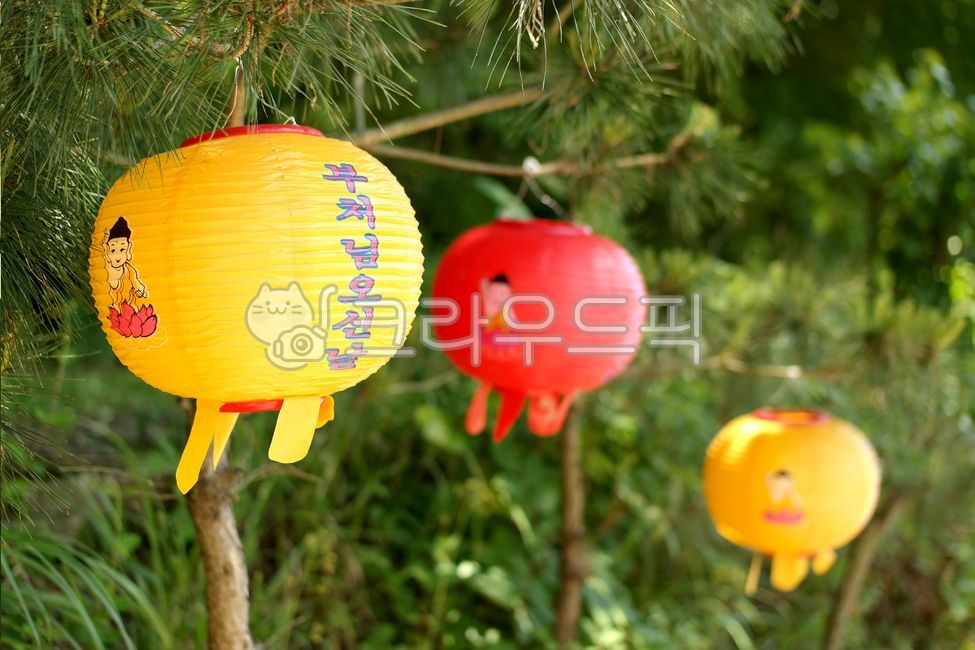 lantern,Buddha's birthday,nature,landscape,background,scenery,Buddha,holiday,calendar,lantern,Buddha,Buddha's birthday