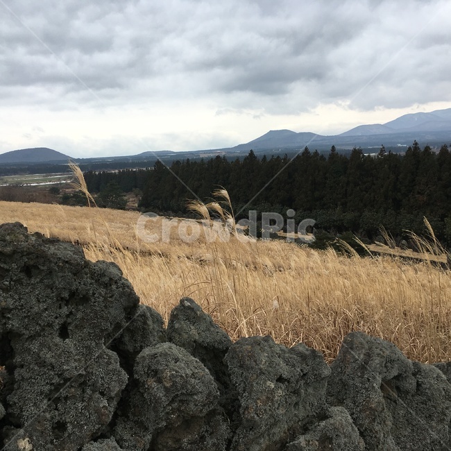 현무암,제주도,오름,풍경,basalt,구름,cloud,산,landscape,jejudo