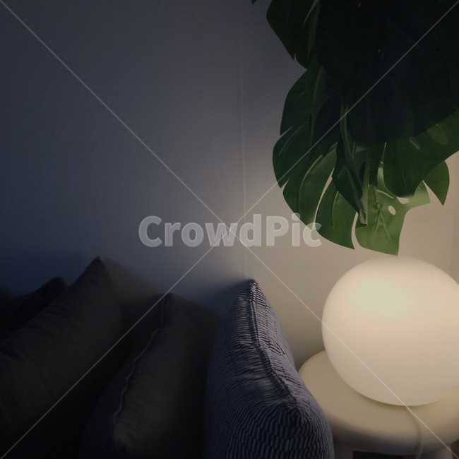 빛,전등,쿠션,나무,식물,light,lamp,cushion,tree,plant