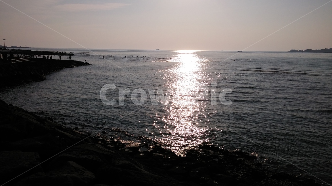 빛,light,햇빛,반사,바다,수평선,제주도,자연,풍경,nature,landscape,flare,플레어