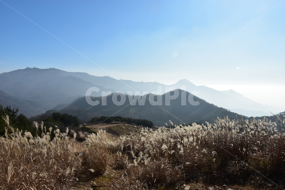 유명산,마유산,억새,가을,풍경,자연,하늘,감성,힐링,아름다운,가을,계절,fall,autumn,season,자연,풍경,nature,landscape,mountain range,산맥,outdoors,옥외,mountain,산