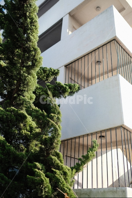 비상계단,식물,나무,아파트,plant,plants,green,tree,건축물,건물외관,exterior,building,structure,architecture,construction