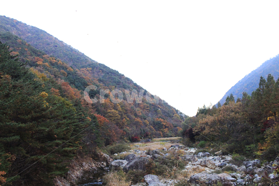 가을,단풍,풍경,산맥,산,등산,등산로,다채로운,낙엽,주황색,초록색,나무