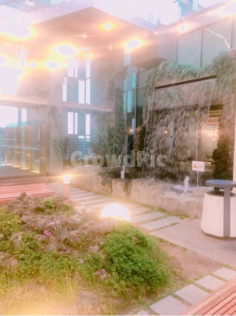 정원,옥상,분위기,배경,자연,모습,마법