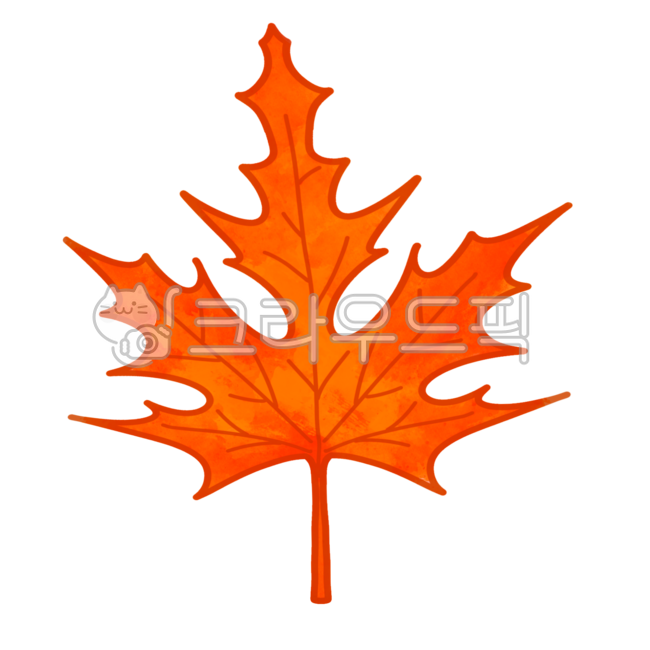 illustrations,Decorating a diary,Element,sticker,leaf,mapleleaves,Maple leaf,Dakku,fallen leaves,leaves,diarystickers,design elements,designelements,elements,diary sticker,illustration,stickers,diarydecorations,decoration