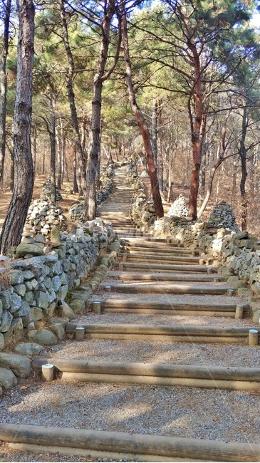 산책로,산책,공원,걷기,계단,겨울,겨울길,겨울공원,겨울산책,산길,오르막,자연,숲,길,소나무,돌담,자갈,자연,풍경,nature,landscape,staircase,wall,벽