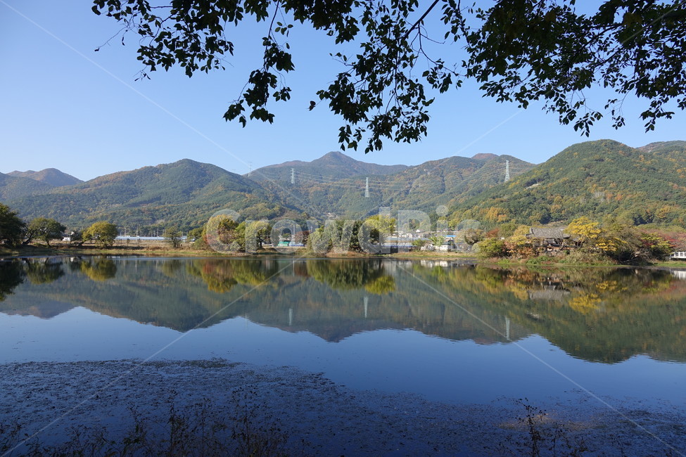 풍경,호수,나무,단풍,산,단풍나무,가을