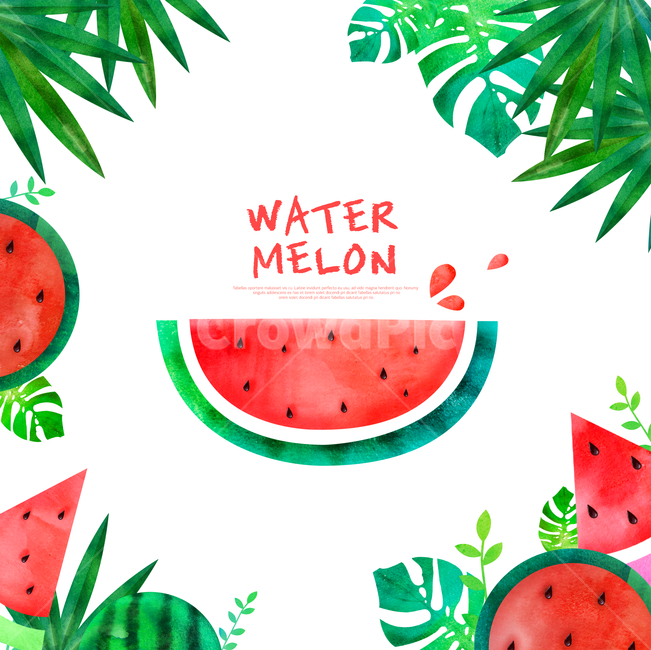 수박,나뭇잎,몬스테라,과일,프레임,여름,여름,계절,summer,season,음식,식재료,요리,food,cook,meal,dishes,food reserves,과일,열매,fruit,그래픽,일러스트레이션,graphic,illustration,plant,식물,watermelon
