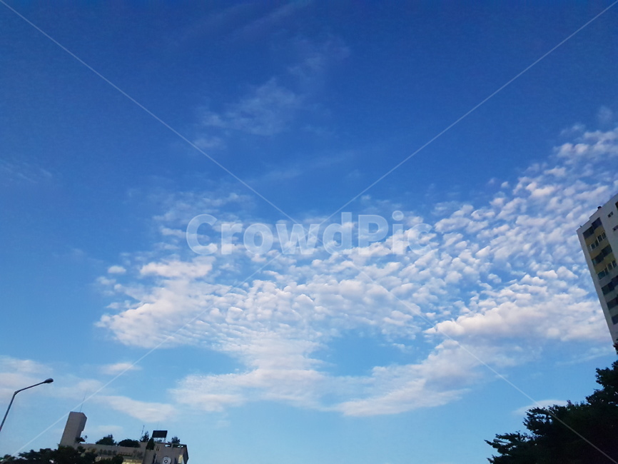 하늘,sky,푸른하늘,구름,cloud,cloudy,자연,풍경,nature,landscape