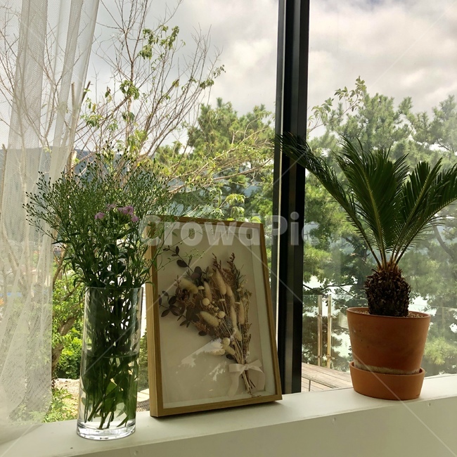카페,cafe,인테리어,interior,커튼,햇살,flower,분위기,감성,감성사진,꽃,말린꽃,식물,액자,창문,바람,여유,힐링,화분,커피,coffee