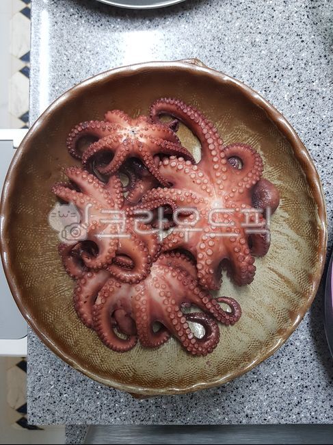 문어,문어숙회,삶은문어,돌문어,문어안주,술안주,음식