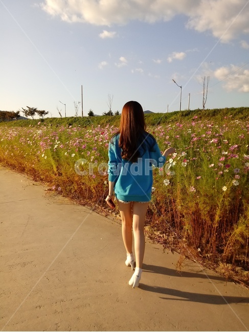 여자,뒷모습,사람,긴머리,가을,여자뒷모습,가을,계절,fall,autumn,season,사람,인물,인간,human,person,여성,여자,woman,female,lady