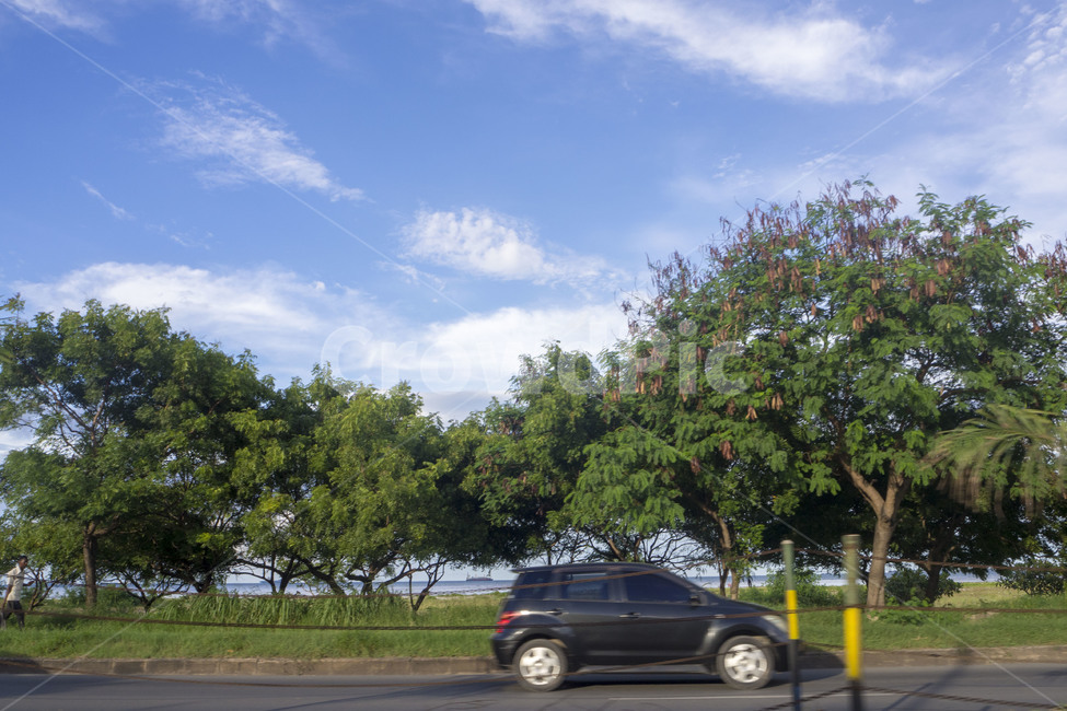 탄자니아,tanzania,아프리카,africa,다르에스살람,daressalaam,구름,하늘,sky,cloud,나무,trees,차,acar,자연,풍경,nature,landscape,해외,외국,세계,foreign,oversea,world,세계자연풍경,해외자연풍경,외국자연풍경,world nature landscape,automobile,자동차,car,vehicle,차량,transportation,교통,wheel,바퀴,machine,기계