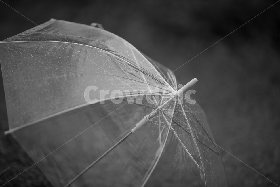 감성,흑백,우산,비,Rain,monochrome,빈티지사진,빈티지느낌,빈티지감성,vintage,비,비오는날,rain,rainy,흑백,모노톤,monochrome,black and white