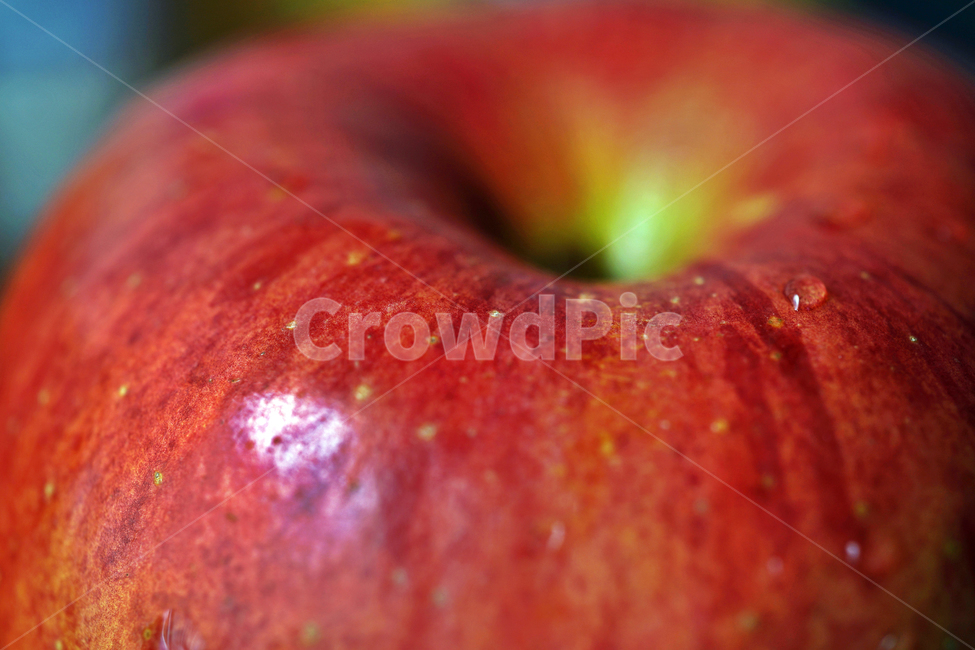 사과,과일,열매,식물,apple,fruit,음식,부사,빨간사과,과일,열매,fruit