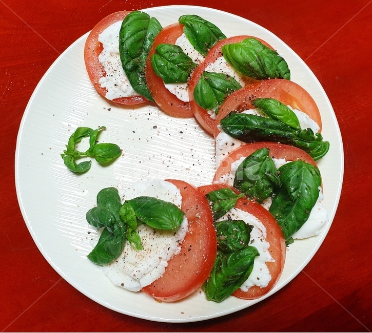 food,음식,식사,dish,요리,platter,플래터,카프레제,와인,안주,와인안주,토마토,치즈,모짜렐라,홈파티,파티음식,손님초대음식