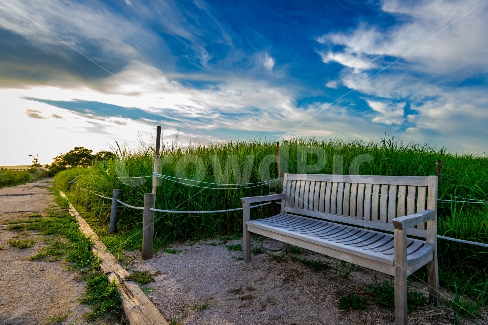 cloud,landscape photography,Bench,green,desolation,Sky Park,beautiful scenery,sight,park,Sky of Autumn