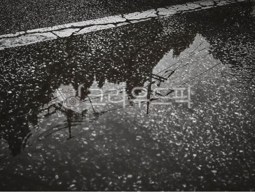 puddle,shadow,After the rain,pool,rainwater,asphalt,reflect,Stagnant rainwater,Standing water,ground,floor,Grayscale