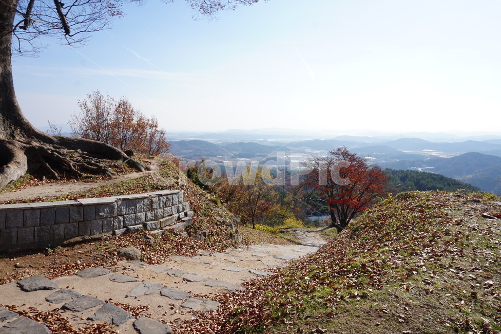 산,단풍,가을,하늘,나무,태양,풍경,경치,산행,등산,단풍나무,가을단풍