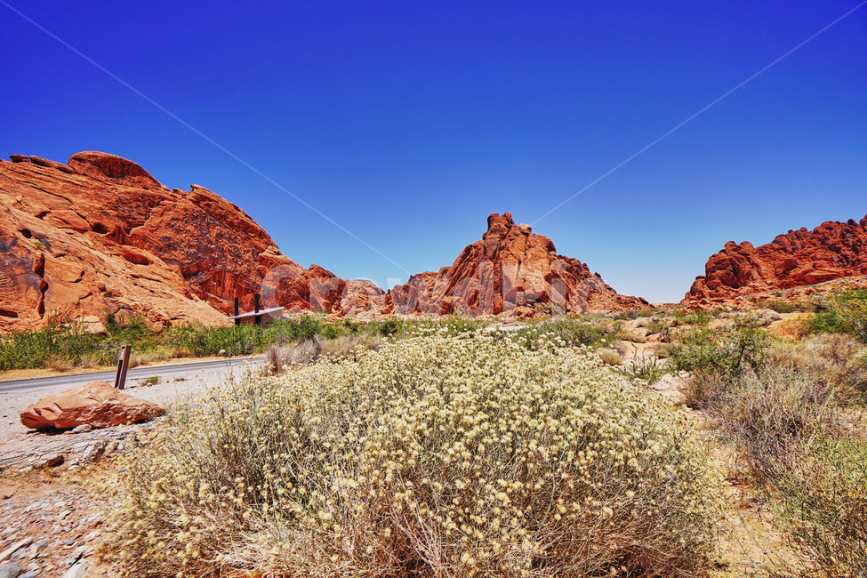 불의계곡,valleyoffire,건조한,dry,풍경,파란하늘,red,rock,바위,자연,풍경,nature,landscape,해외,외국,세계,foreign,oversea,world,세계자연풍경,해외자연풍경,외국자연풍경,world nature landscape,outdoors,옥외,mountain,산,plateau,고원