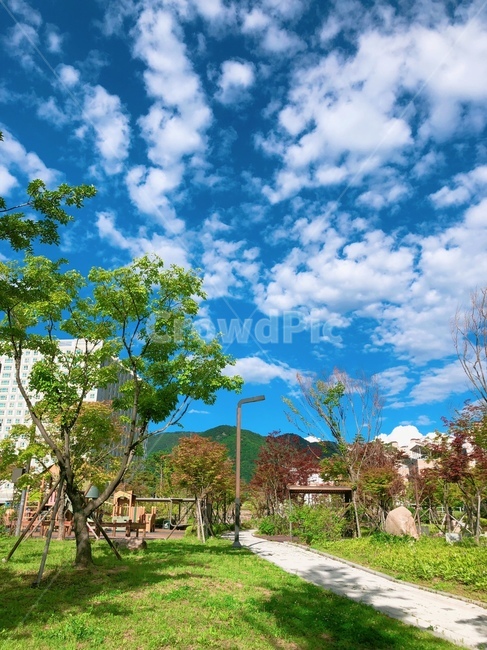 outdoors,plant,식물,잔디,구름,cloud