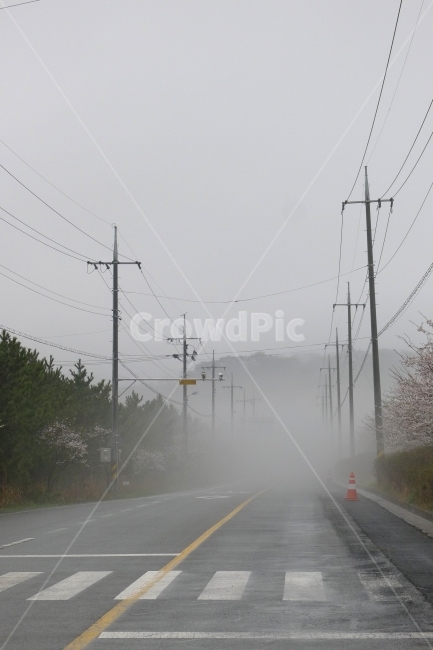Rainy Day,road name,invisible,foggy road,Fog