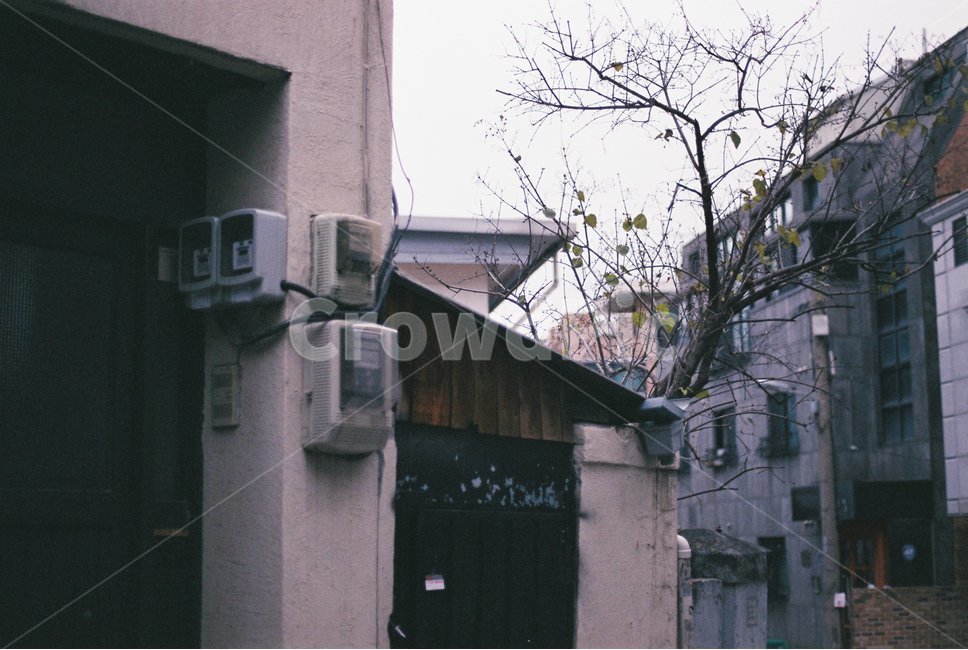 길거리,옛날길거리,나무,감성,무드,골목길,alley