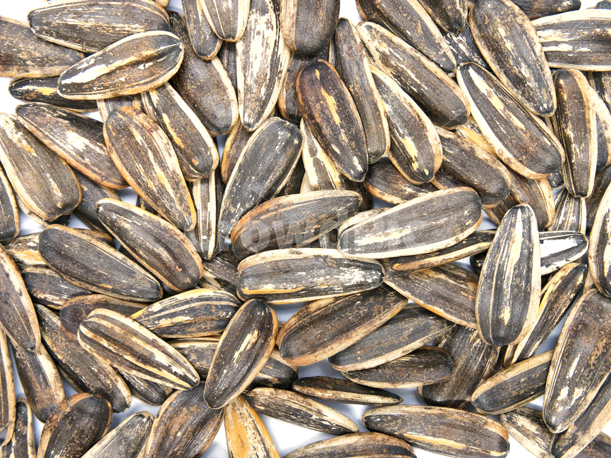 ingredient,seed,snack,sunflower seeds,sunflowerseed,white background,sunflower,nutritious,nuts,healthy,eat,roasted,Roasted seaweed seeds,diet,tasty