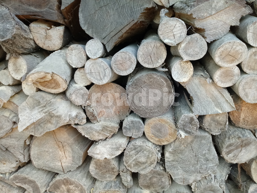장작,땔감,나무,firewood,통나무