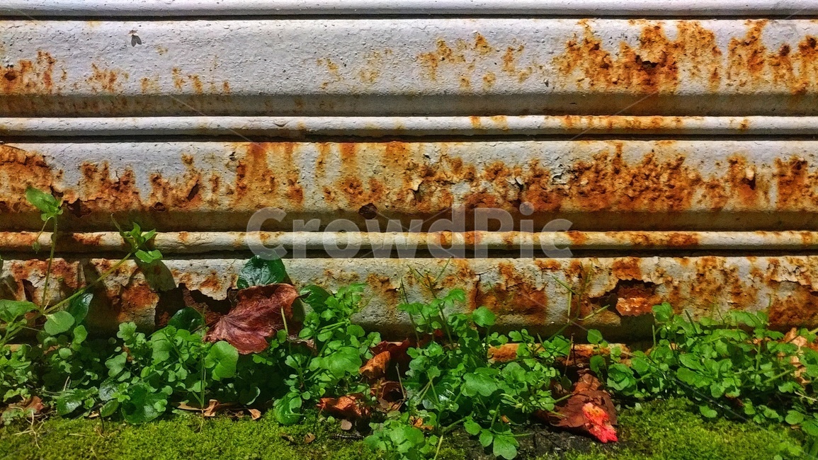 rust,Pollution,green deer,plant,old thing